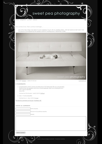 sweetpeaphotography.com - Worpress photo blog with custom template featuring Flash animated accents